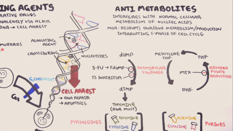 Classification Of Chemotherapy Drugs